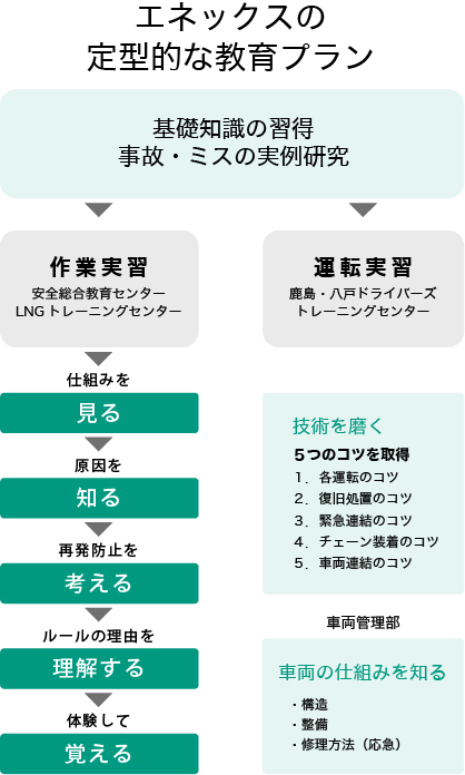 エネックスの定型的な教育プラン